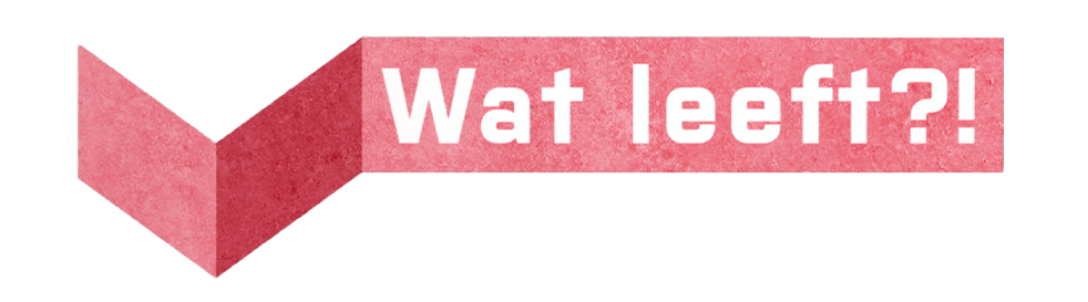 Wat leeft?!