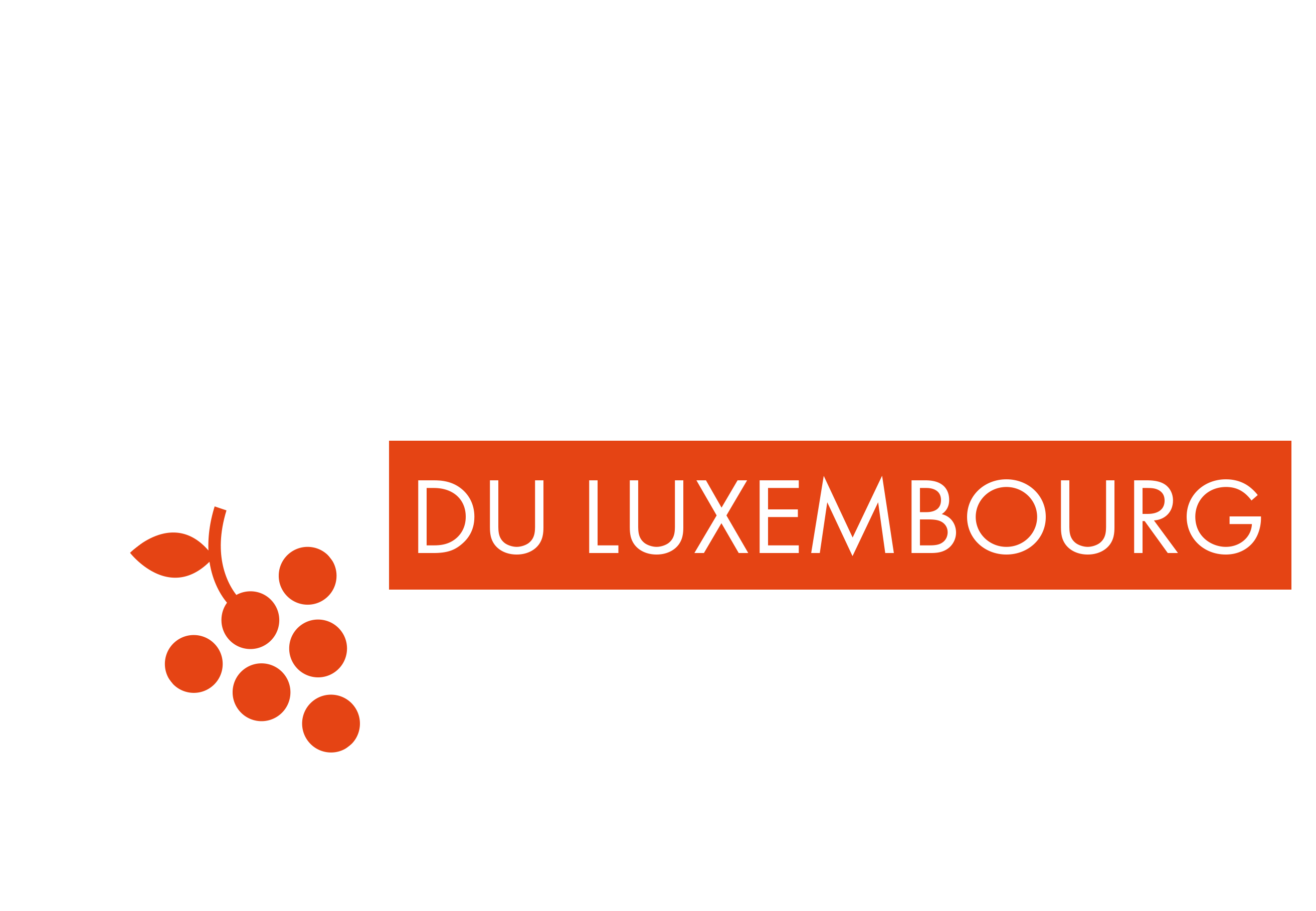 La Route des Vins du Luxembourg - Domaines viticoles, conseils oenologiques et joyaux à déguster