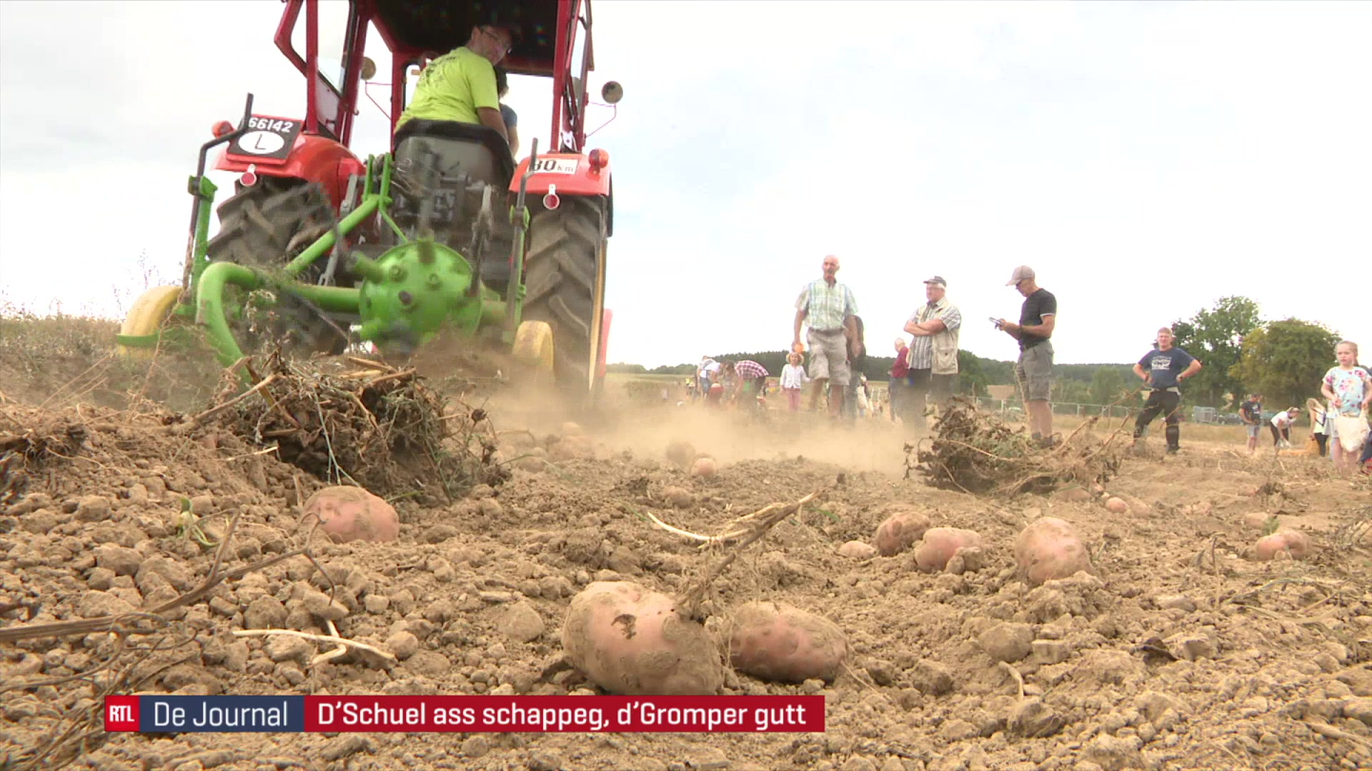 21. Gromperefest zu Bënzelt: Eng schappeg Schuel mécht keng schlecht ...