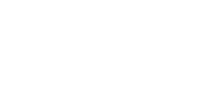 The Afternoon Session