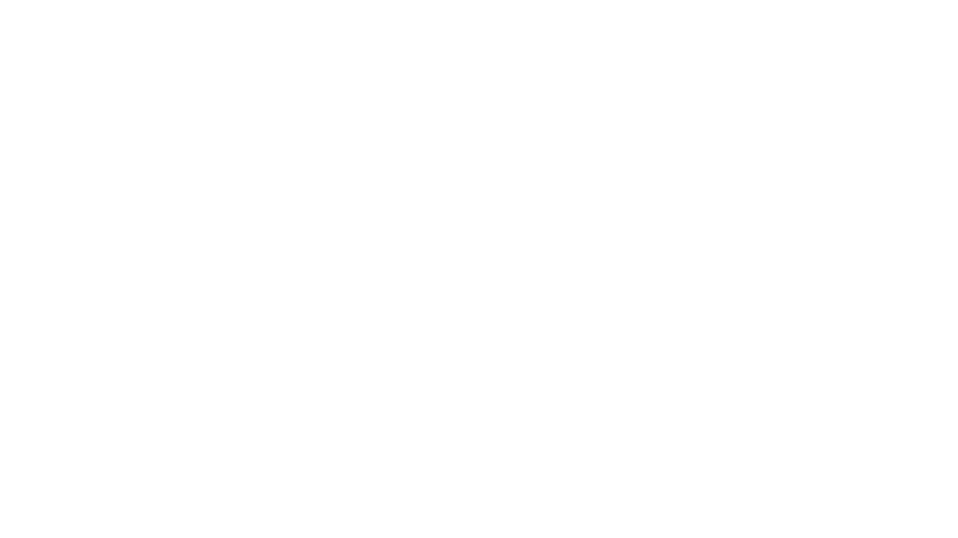 Lisa Burke Show