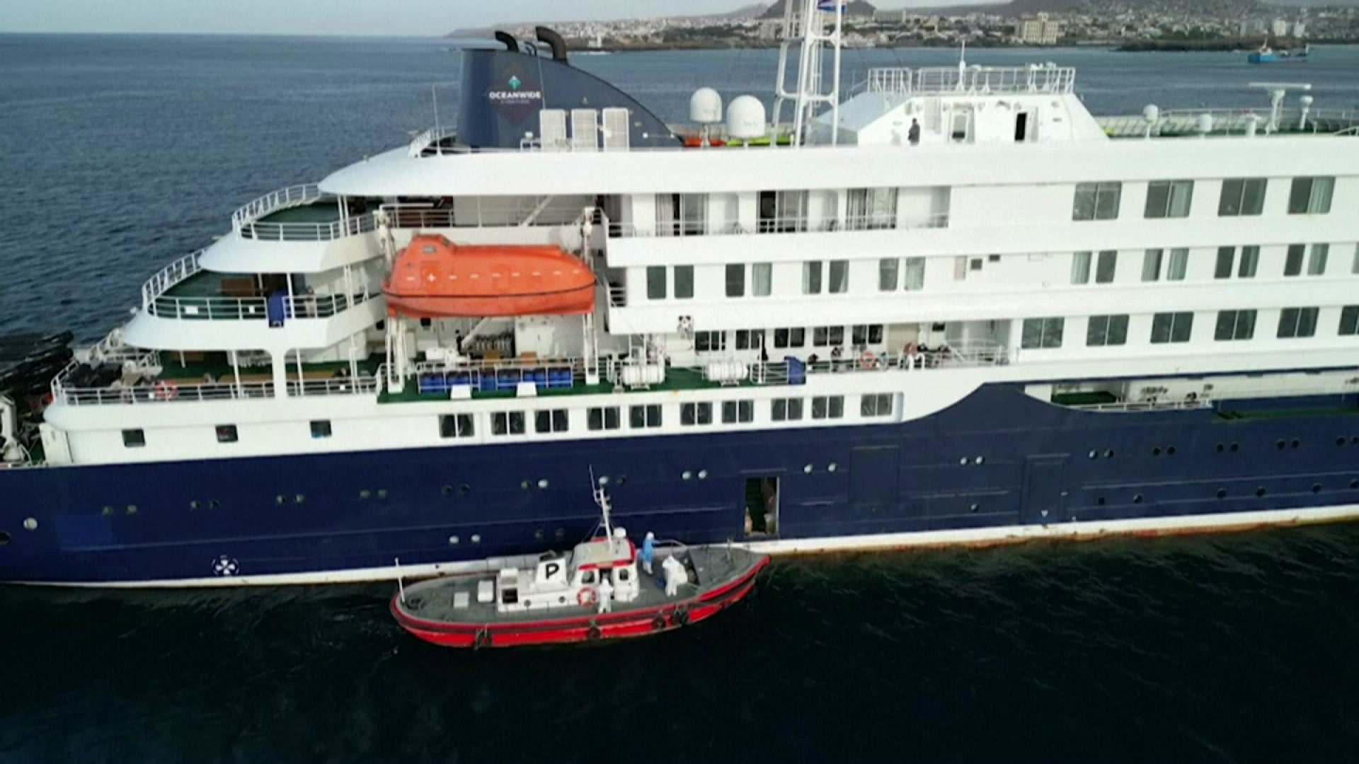 Mostly spread by rodents: Hantavirus outbreak on cruise ship prompts questions over deadly risks