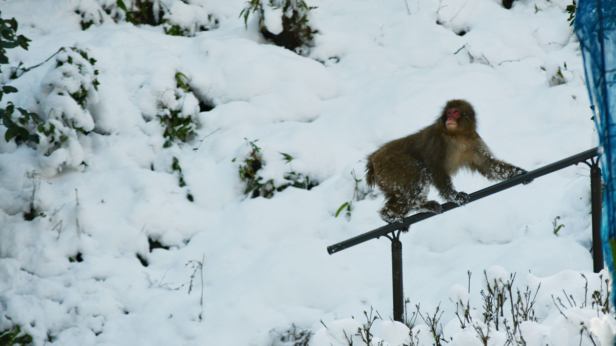 Please Don't Stop The Music