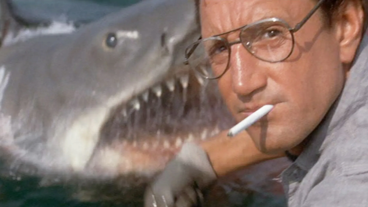 A to Z marking...Shark Awareness Day!