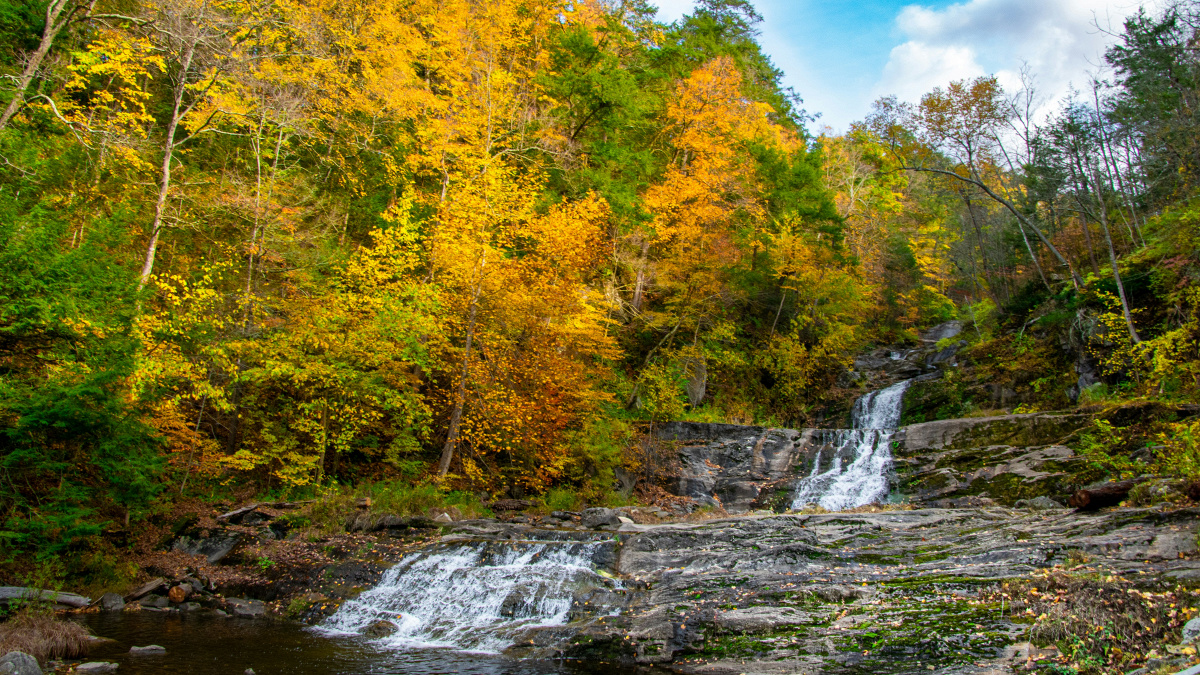 Episod 6: Connecticut