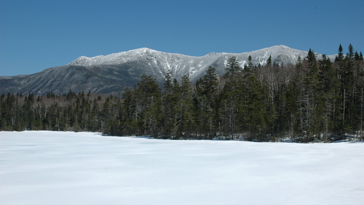 Episod 29: New Hampshire