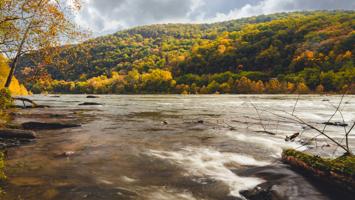 Episod 48: West Virginia