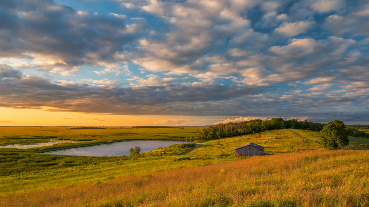 Episod 49: Wisconsin