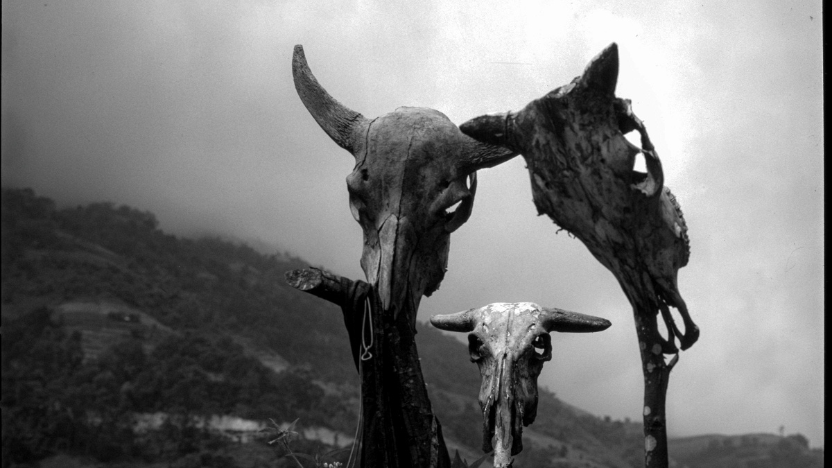 New Noise: Episode 144 11.06.25