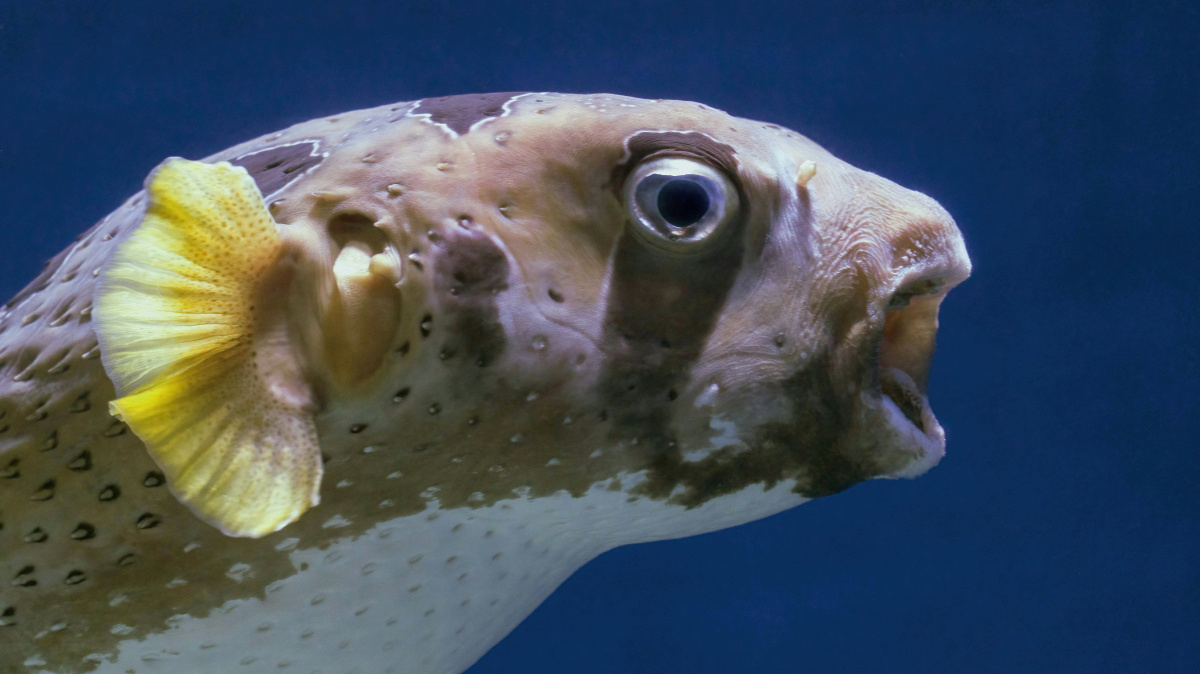 New Noise: Episode 205 - 31.10.25