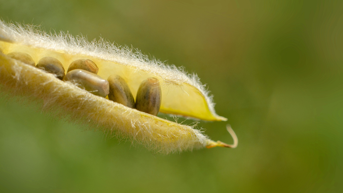 New Noise: Episode 223 28.11.25