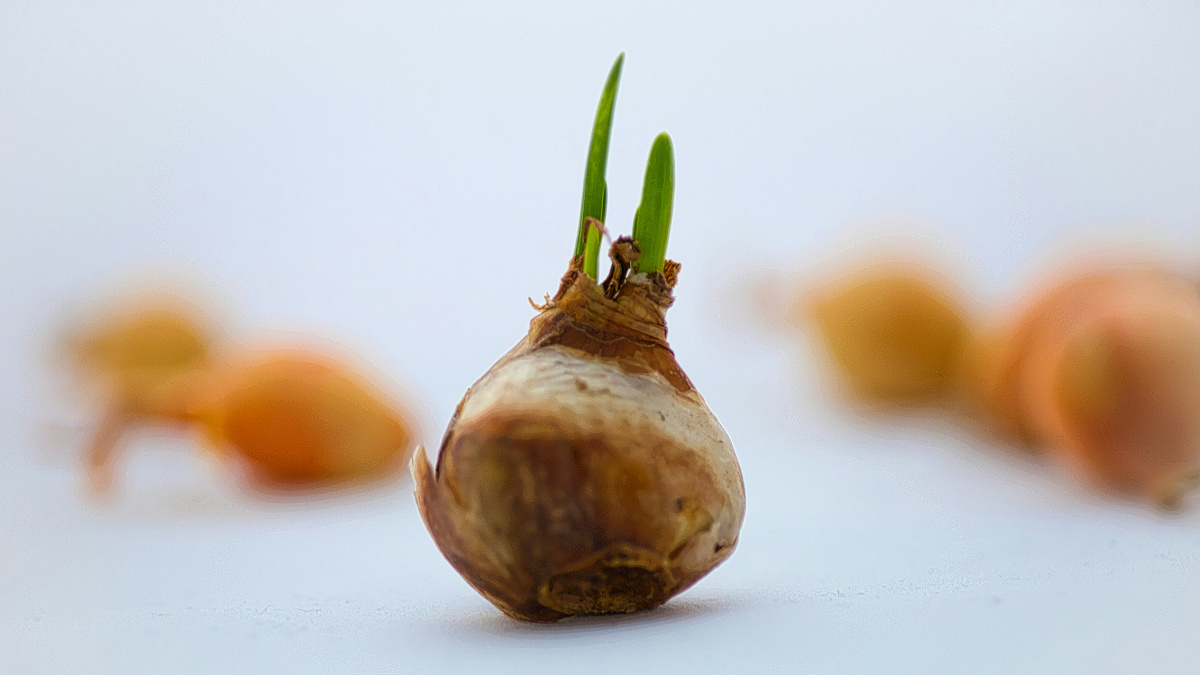 New Noise: Episode 227 09.12.25