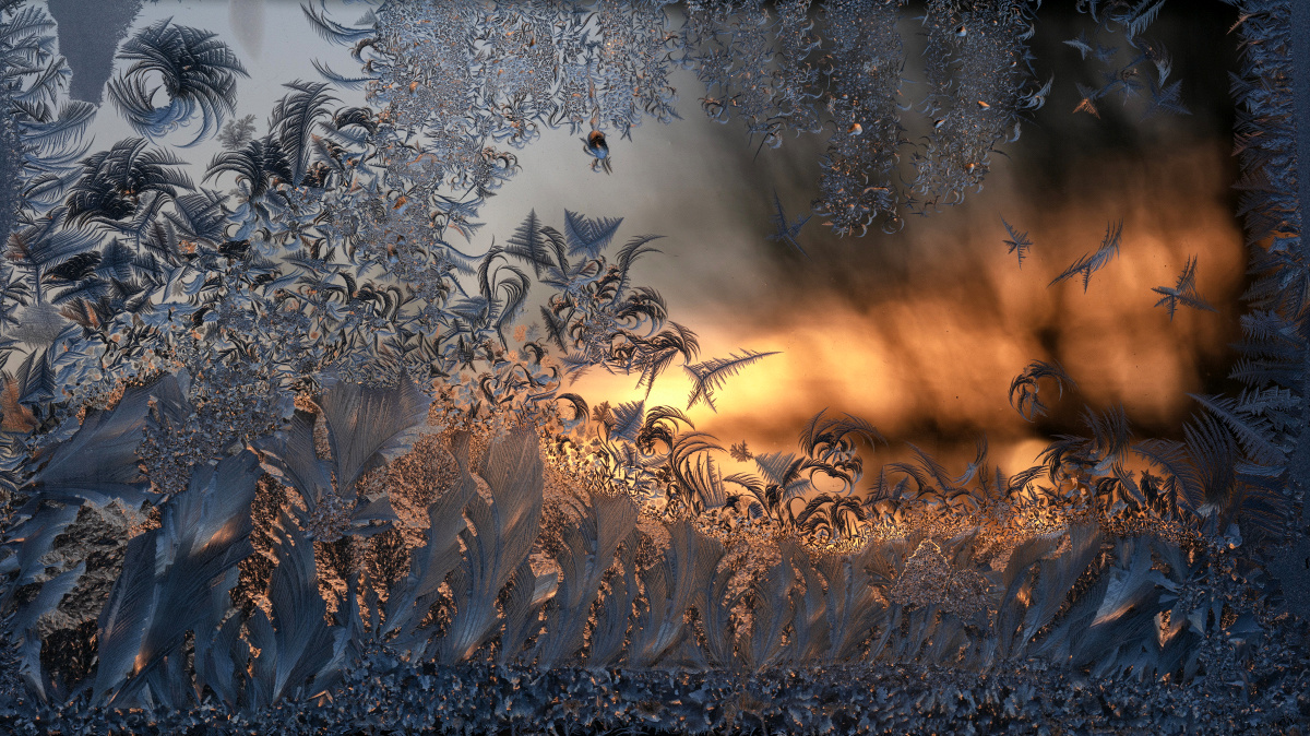 Konscht aus Frascht - Äisblumme vum Peter Jeschke