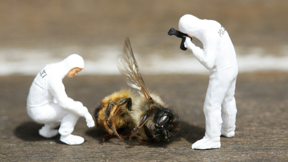 The Lunchbox: John Baker and some nonsense questions 27.02.26