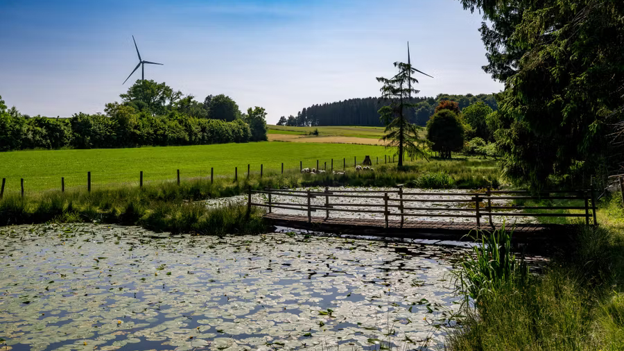 D'Cornelys Millen - Mam schwaarze Storch als Begleeder