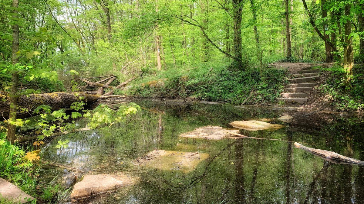 Villa Borg Trail – E Wee duerch d’Zäit