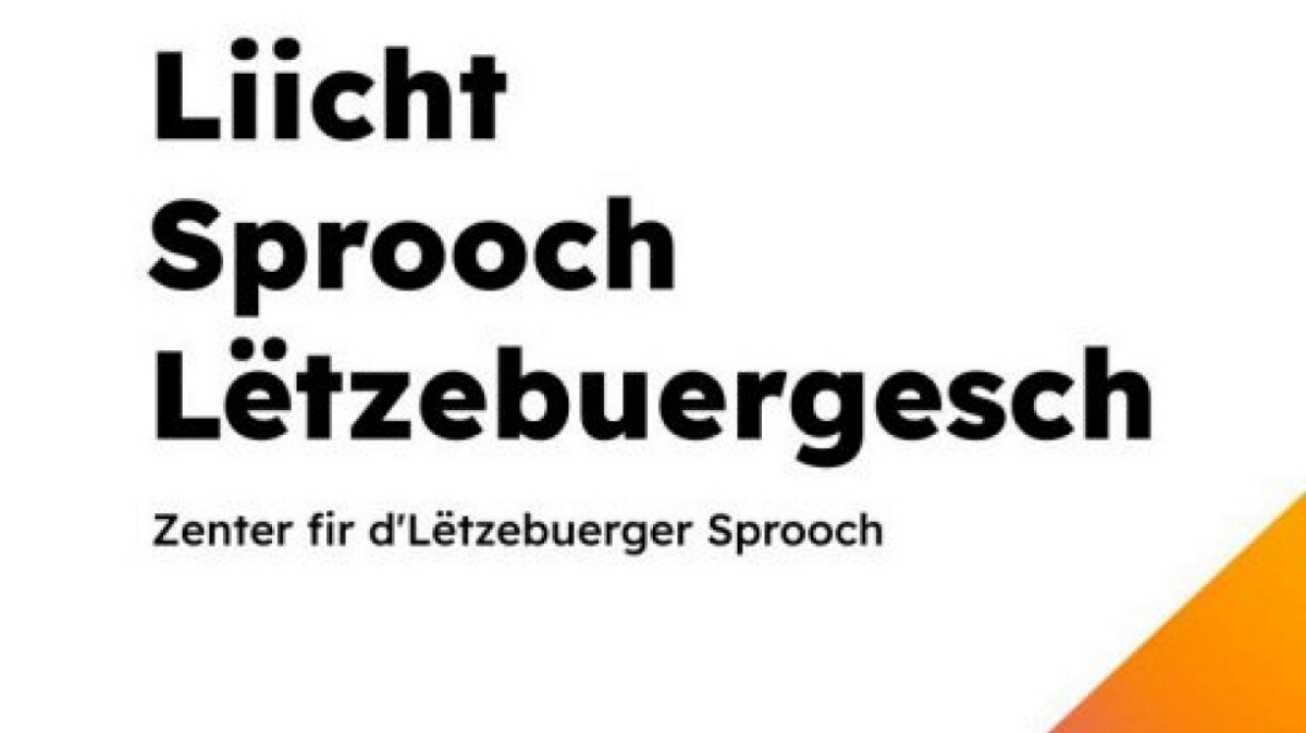 Kennt Dir schonn de Guide fir d'Lëtzebuerger "Liicht Sprooch"?