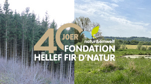 40 Joer - 40 Naturschutzgebidder - 40 Videoen