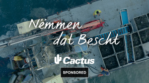 Cactus Nëmmen dat Bescht
