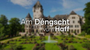 Am Déngscht vum Haff