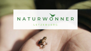 Naturwonner – eng Rees duerch d’Lëtzebuerger Naturreservater