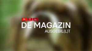 Ausgebil(l)t : Muppe bei der Aarbecht