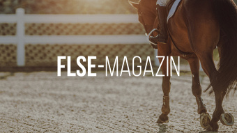 FLSE-Magazin