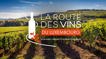 La Route des Vins du Luxembourg - Domaines viticoles, conseils oenologiques et joyaux à déguster