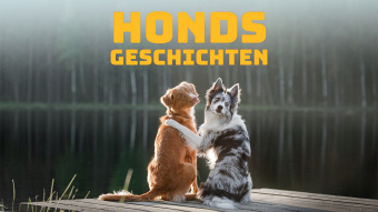 Hondsgeschichten