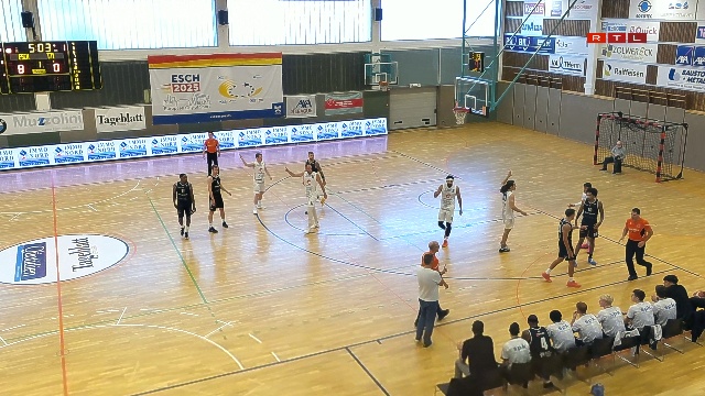 Enovos League Hären Qualifikatioun: Basket Esch – T71 Diddeleng