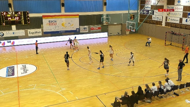 Enovos League Dammen Qualifikatioun: Basket Esch – T71 Diddeleng