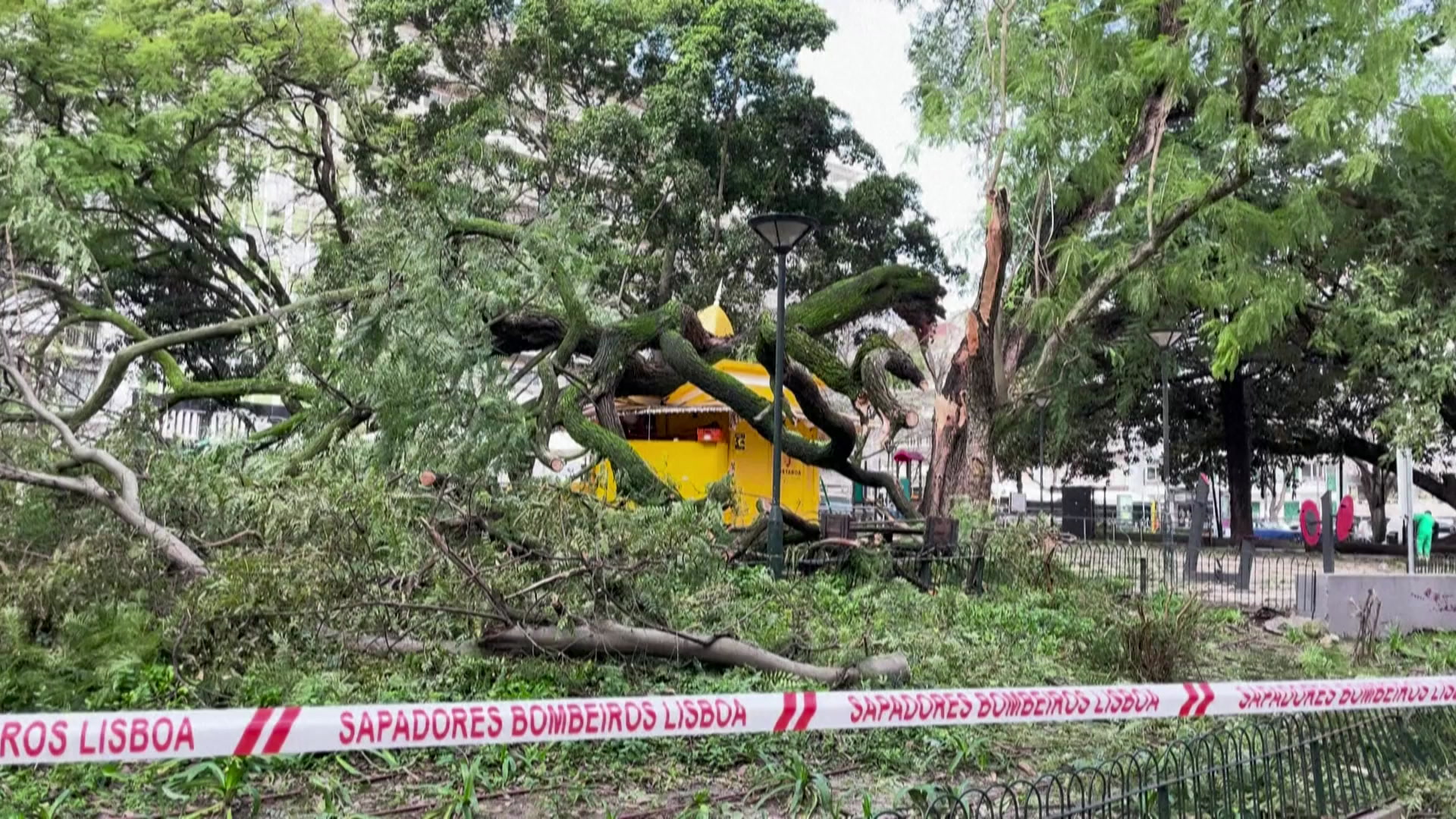 Violent storm: Four dead as storm toll rises in Portugal